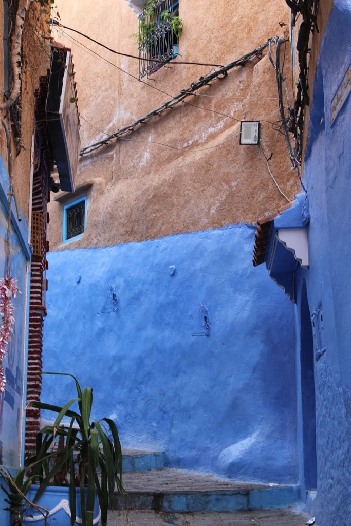 Blue-painted wall and stone steps in a narrow alley in Chefchaouen, Morocco