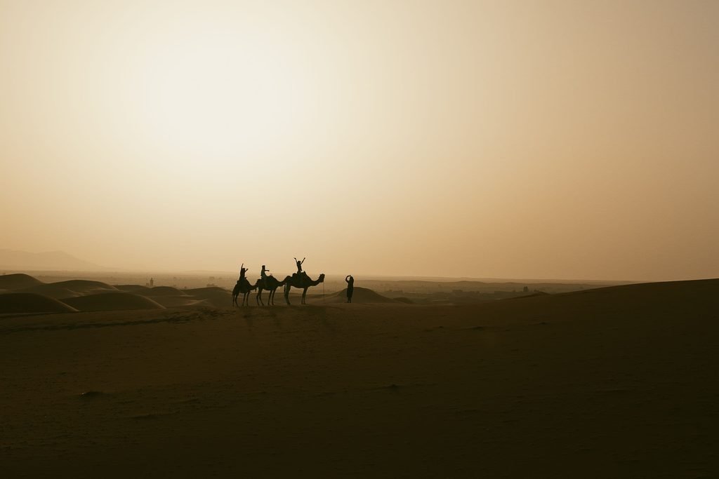 Silhouette of a camel caravan crossing the Sahara dunes near Merzouga at sunset