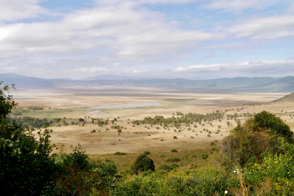 Ngorongoro Crater floor with grazing zebra in the morning